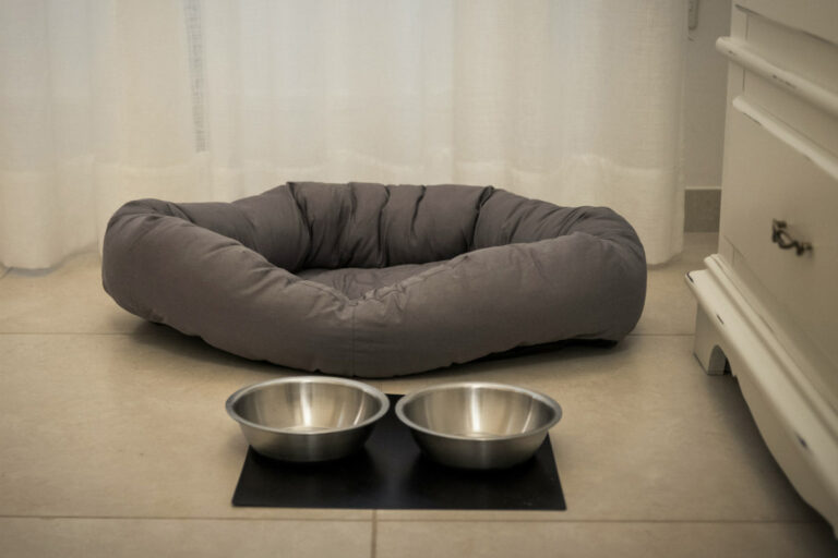 Amatè Suite and Rooms a Lecce Centro SUITE TERRA ROSSA per 2 ospiti Amatè Suite and Rooms a Lecce Centro SUITE TERRA ROSSA per 2 ospiti