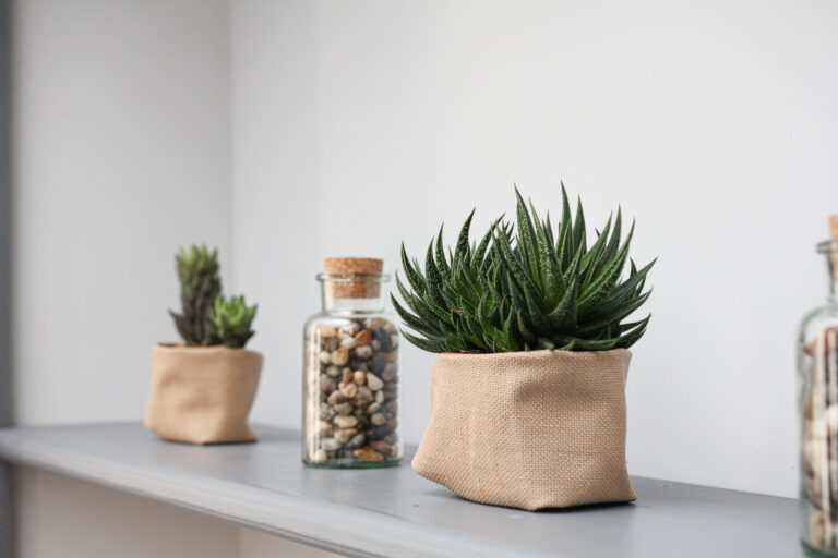 Casa Mamma Elvira Room 413 in the Heart of Lecce 9 2 768x512