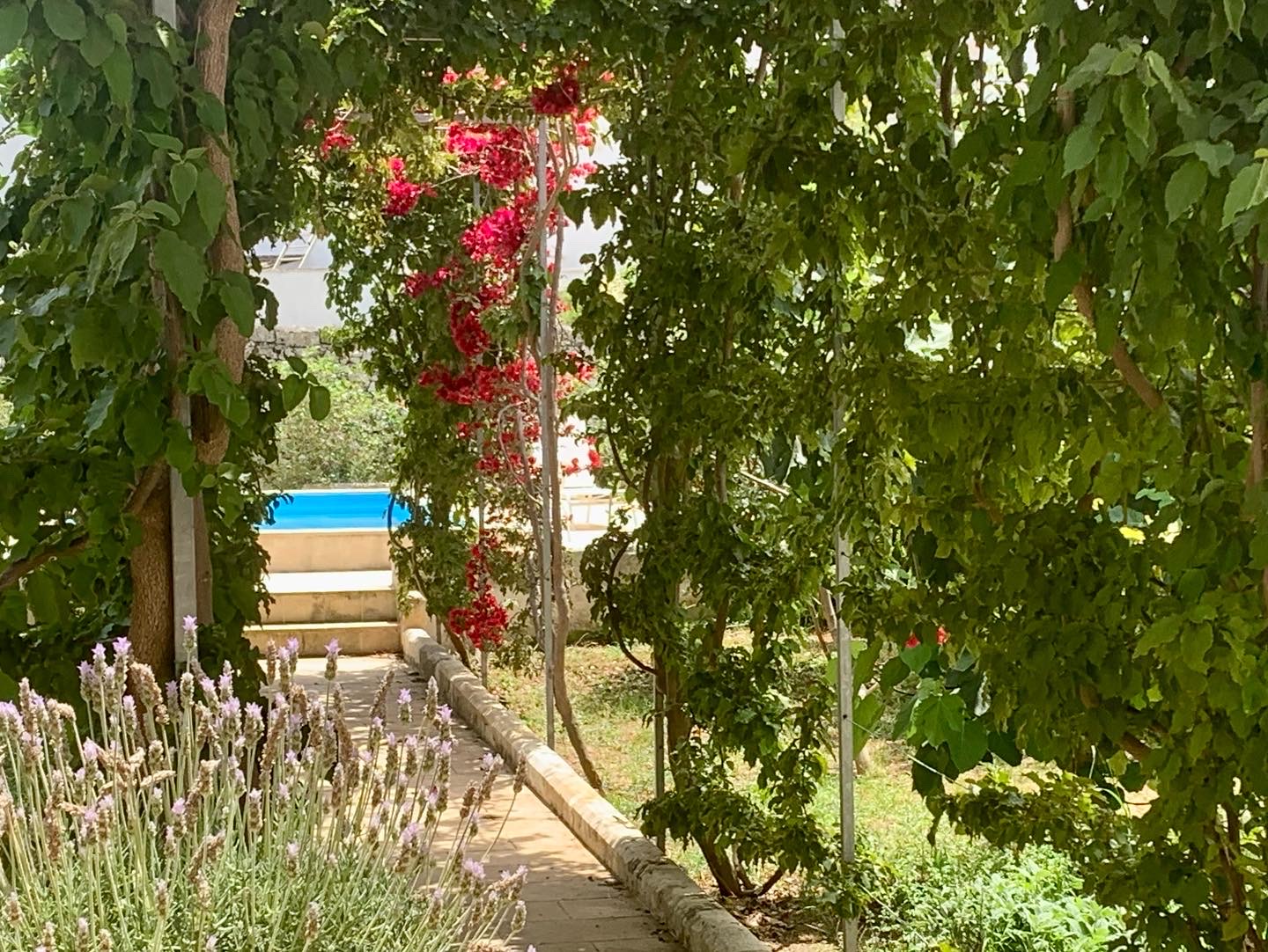 GIARDINO E PISCINA 1