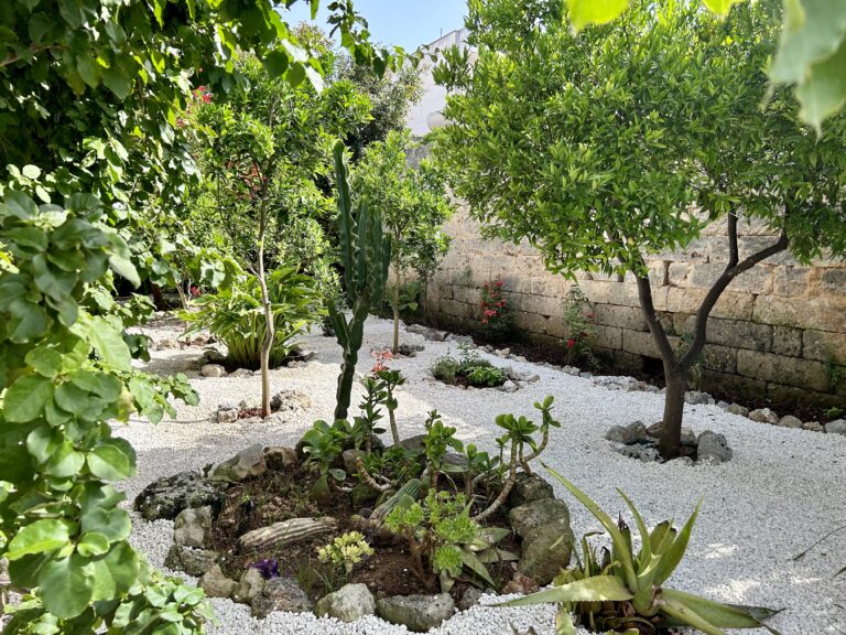 GIARDINO PIANTE GRASSE 768x576
